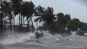 Bengal-Cyclone-2