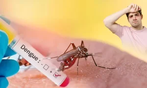 1734971-dengue-treatment