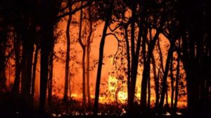 canada-wild-fire-1692442289