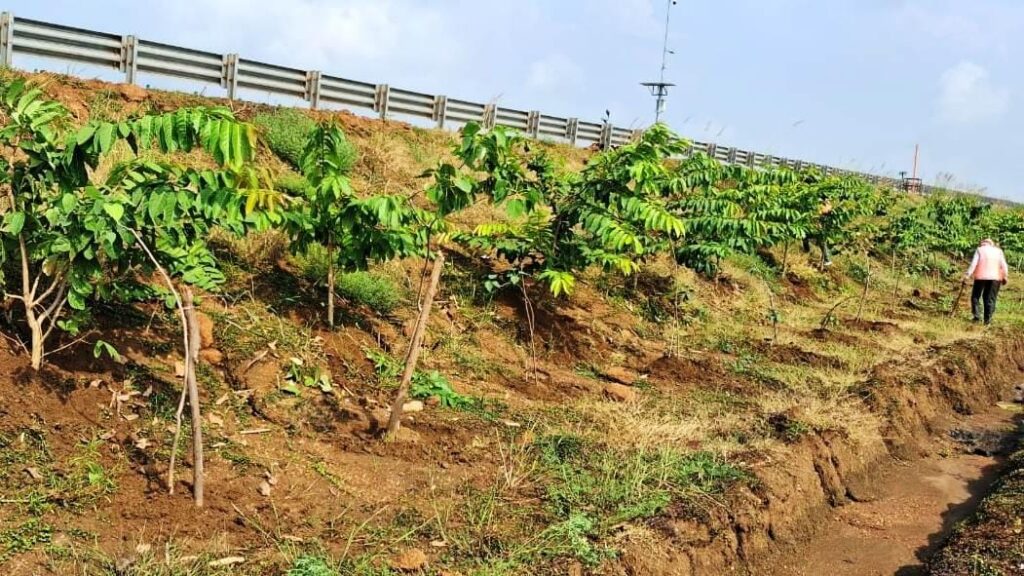 WhatsApp Image 2025-09-19 at 20.08.18