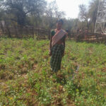 रायपुर : महतारी वंदन योजना से बदली जिंदगी की तस्वीर : श्रीमती सुखी पुनेम बनीं आत्मनिर्भरता और पोषण की मिसाल