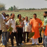 रायपुर : मध्यप्रदेश के किसानों का ग्राम लिंगाडीह आरंग में मखाना खेती भ्रमण एवं प्रशिक्षण संपन्न
